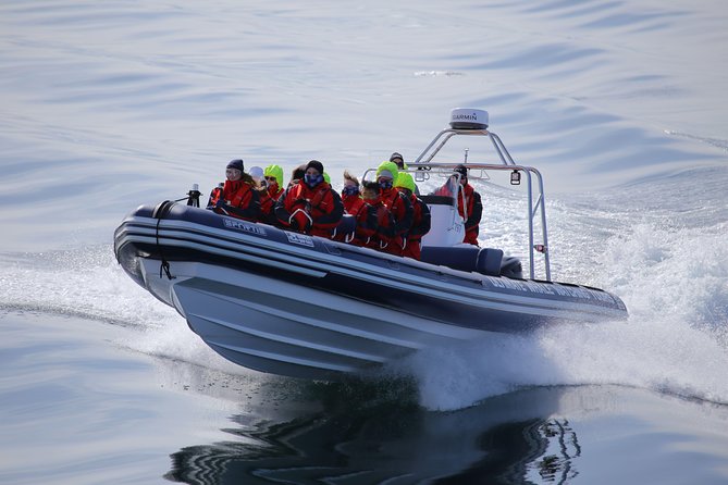 RIB boat express: Whales, Eyjafjord and Akureyri - Who will enjoy this RIB whale tour?