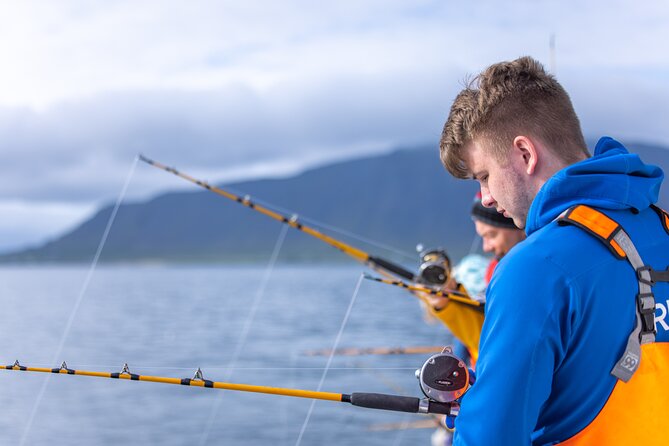 Sea Fishing Experience from Reykjavik - Fishing for dinner in Faxaflói Bay