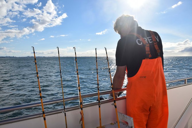 Sea Fishing Experience from Reykjavik - Cod, haddock, and the chance of a big catch