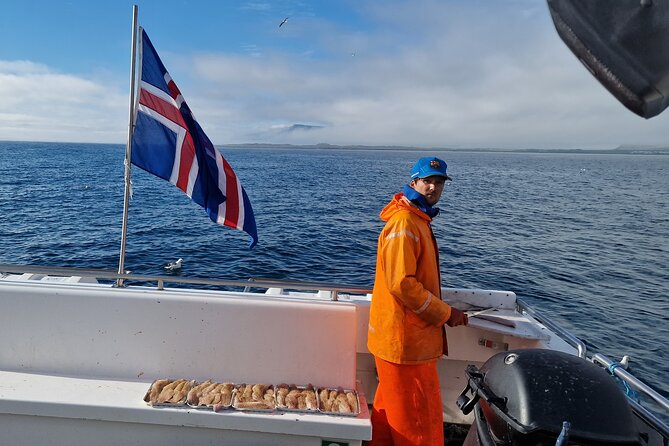 Sea Fishing Experience from Reykjavik - Puffins, dolphins, and the ride itself