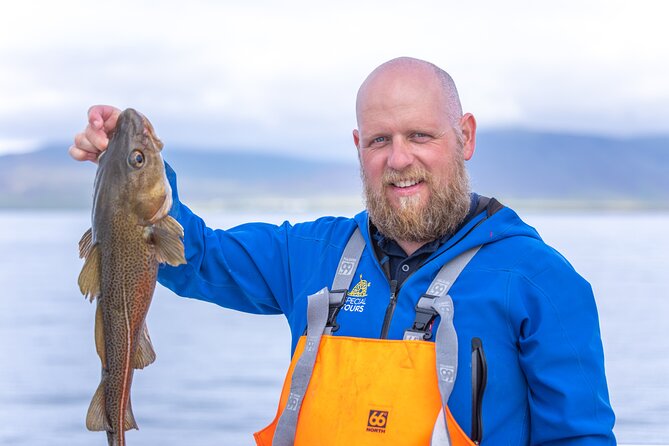 Sea Fishing Experience from Reykjavik - How the fishing session works