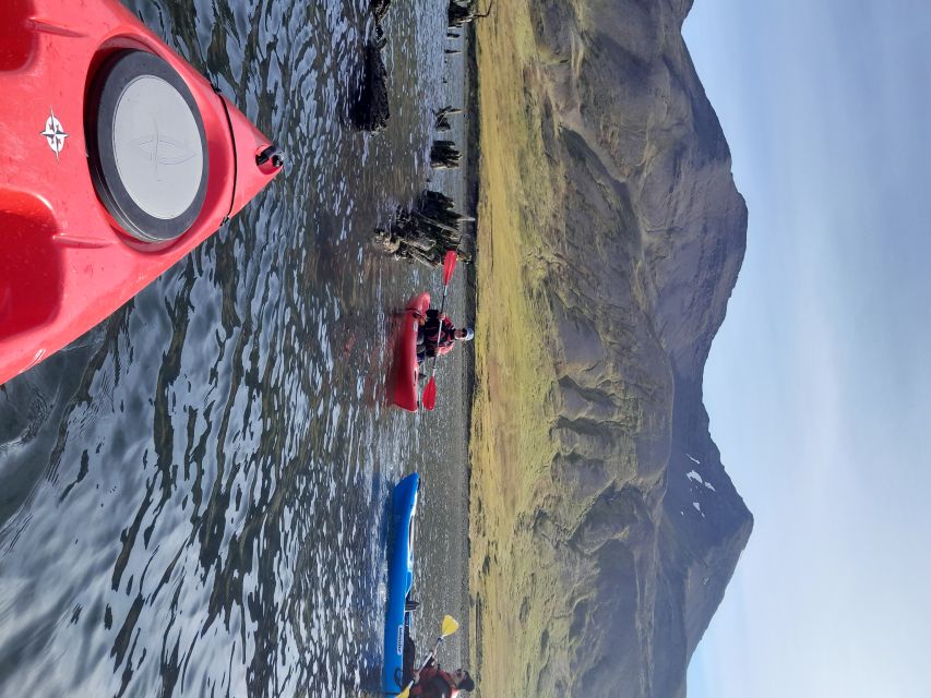 Siglufjörður / Siglufjordur: Guided kayak tour. - Key points to know before you book