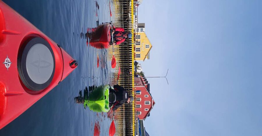 Siglufjörður / Siglufjordur: Guided kayak tour. - The Evanger avalanche site and the town’s risks