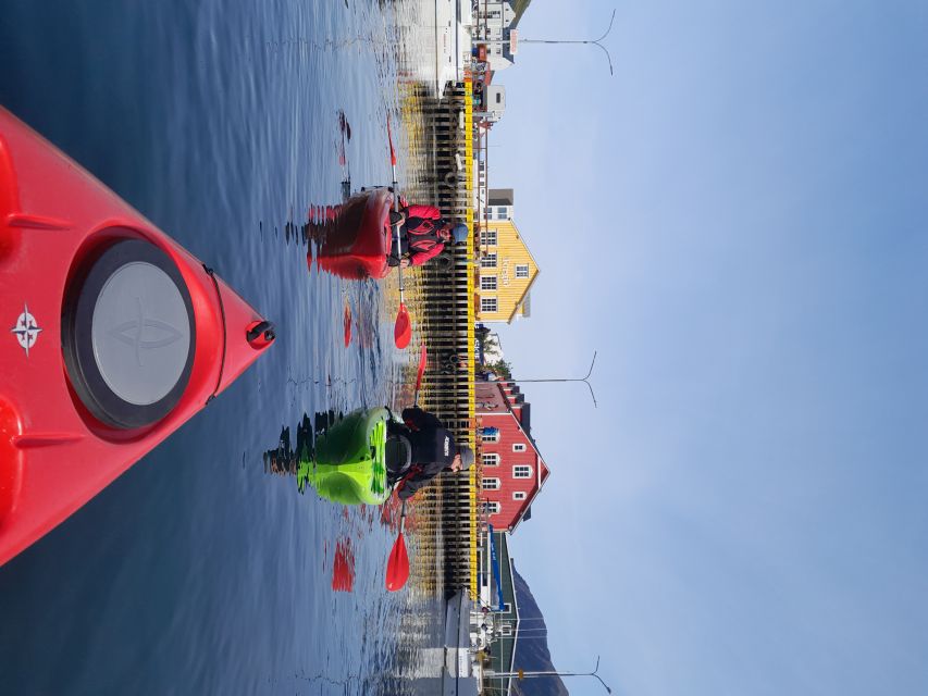 Siglufjörður / Siglufjordur: Guided kayak tour. - Selvíkurnef lighthouse from the fjord