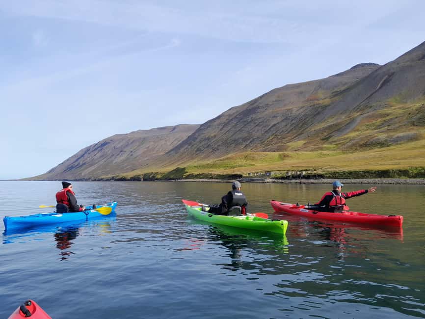 Siglufjörður / Siglufjordur: Guided kayak tour. - Is $107 a fair price?