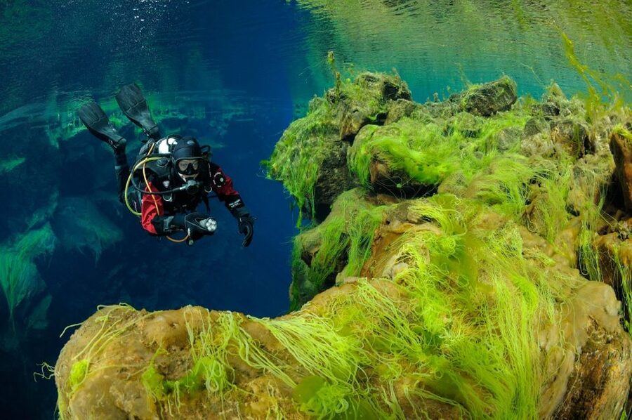 Silfra: Diving Between Tectonic Plates - The qualifications you cannot skip