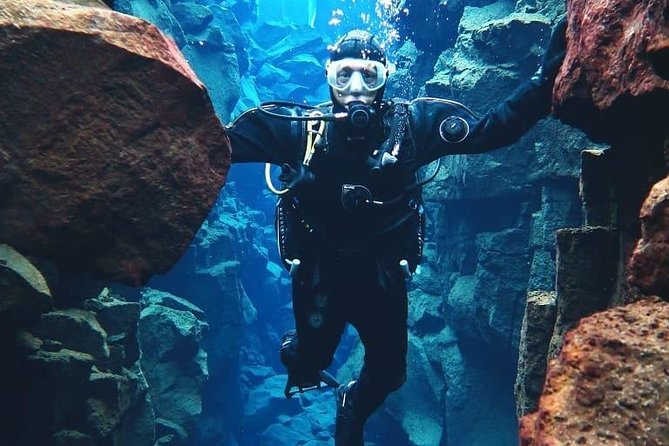 Silfra: Diving Between Tectonic Plates and Pick Up from Reykjavik - Why Silfra is more than a cold-water swim