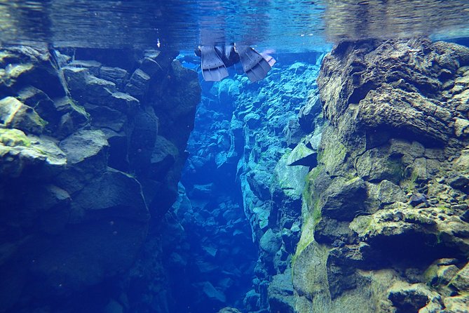 Silfra Fissure Snorkeling From Reykjavík - Free Underwater Photos - Price, timing, and practical value
