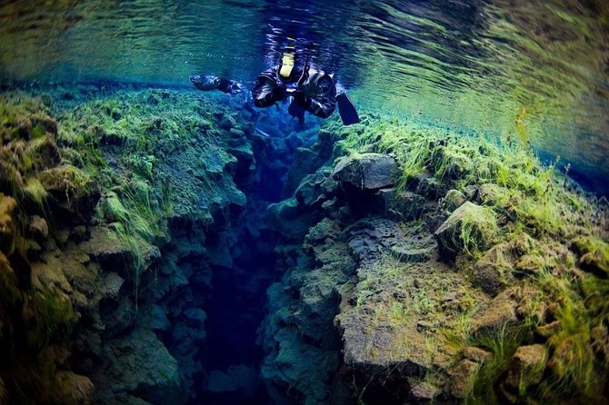 Silfra Fissure Snorkeling From Reykjavík - Free Underwater Photos - Who should book Silfra snorkeling