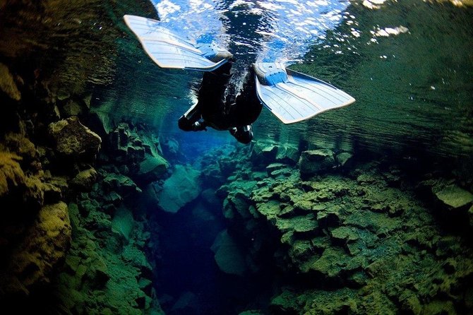 Silfra Fissure Snorkeling From Reykjavík - Free Underwater Photos - Cancellation and pickup details
