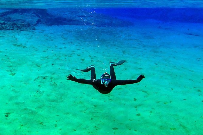 Silfra Wetsuit Snorkeling Tour with Underwater Photos - From Reykjavik - Is the $189 price fair?
