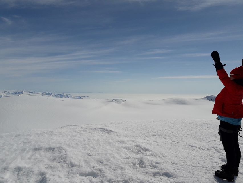 Skaftafell: Hvannadalshnjúkur Glacier Guided Hike - Crampons and the summit plateau