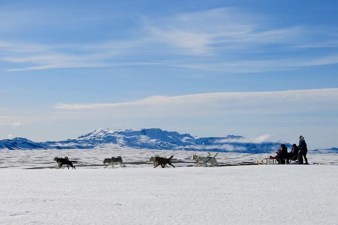 Small Group Husky Sledding Tour from Capital Region - Key points before you book