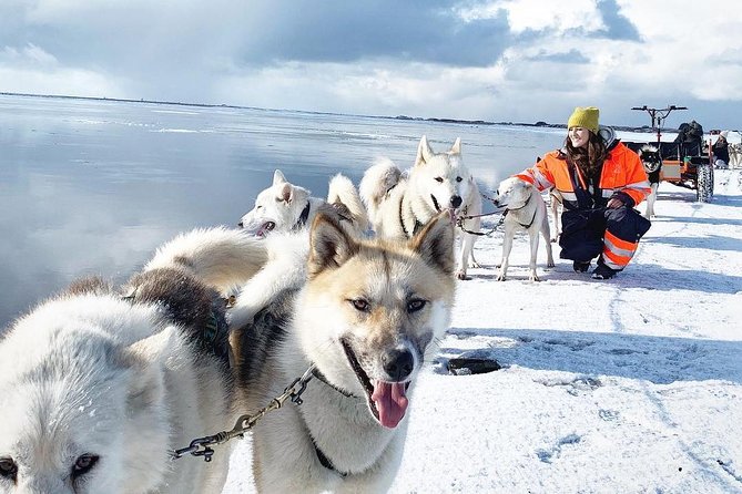 Small Group Husky Sledding Tour from Capital Region - Reaching the base near Mosfellsbær