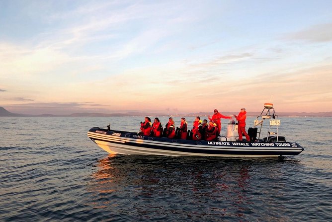 Small-group Whale Watching in the Midnight Sun from Reykjavík - Meeting the boat at Reykjavík’s Old Harbour