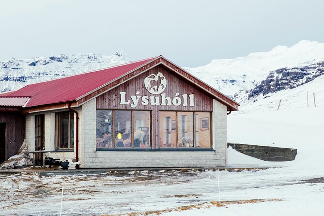 Snæfellsnes in Spanish with lunch on a farm Minibus - The minibus ride from Reykjavík