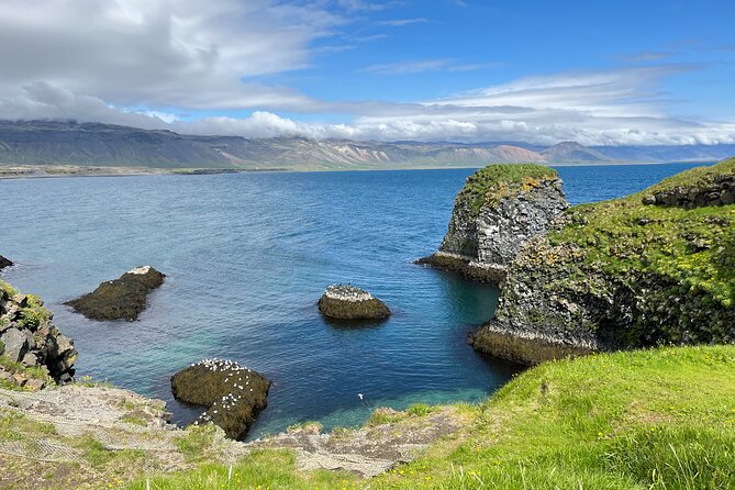 Snæfellsnes in Spanish with lunch on a farm Minibus - Arnarstapi to Hellnar on foot