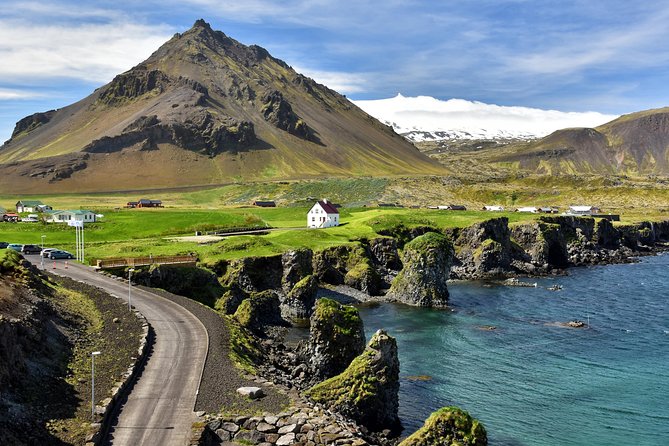 Snaefellsnes NP Small-Group Tour with Local Lunch from Reykjavik - Ytri Tunga and the seal colonies