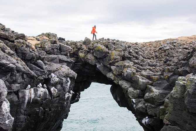 Snaefellsnes Peninsula Full Day Tour from Reykjavik - Berserkjahraun: a first look at Iceland’s volcanic past