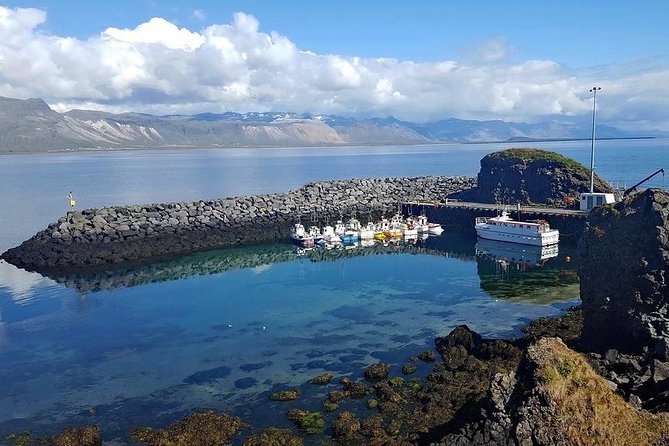Snaefellsnes Peninsula. Private Day Tour from Reykjavik - Arnarstapi offers the best short coastal walk