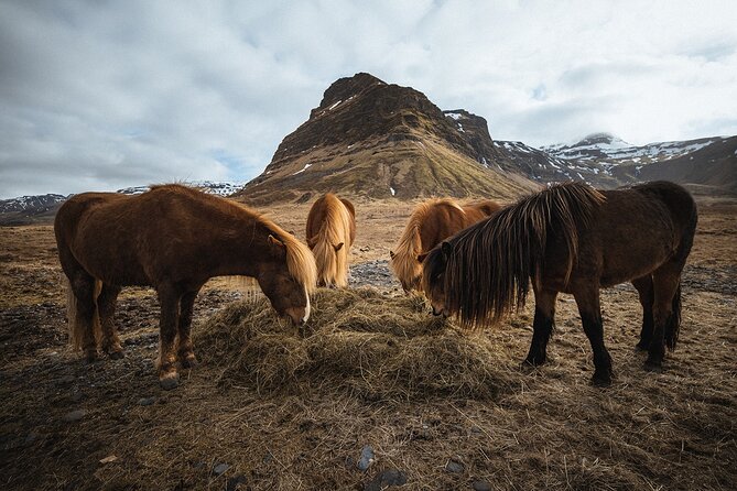 Snæfellsnes Peninsula | Private tour | PRO Photos included - Snæfellsjökull, the great presence of the peninsula