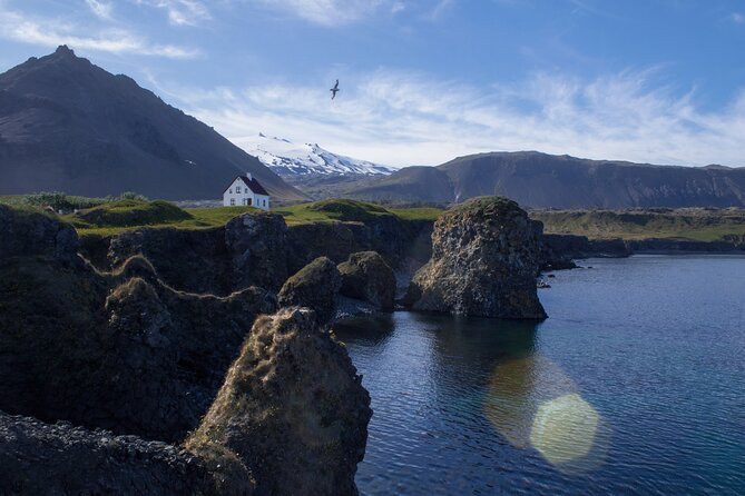 Snaefellsnes Small Group Tour with Homemade Meal from Reykjavik - Arnarstapi’s basalt coast deserves your attention