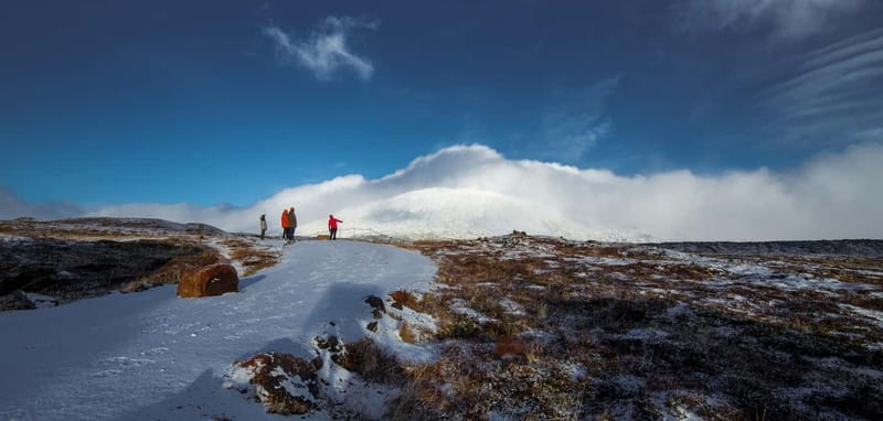 Snæfellsnes: Vatnshellir Lava Cave Tour - Is the $43 price fair?