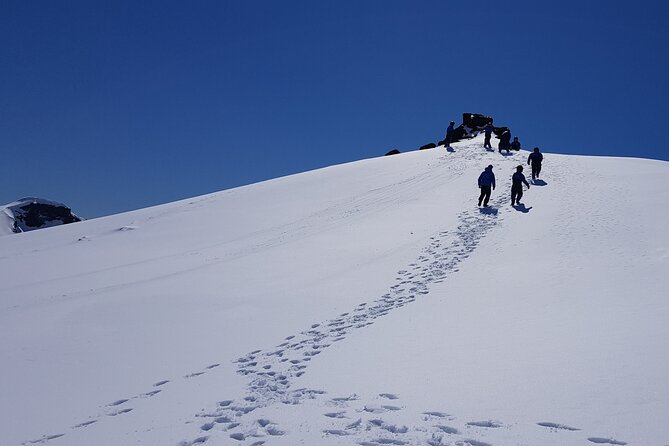 Snowmobile tour on Vatnajökull - Price and what the three hours really buy