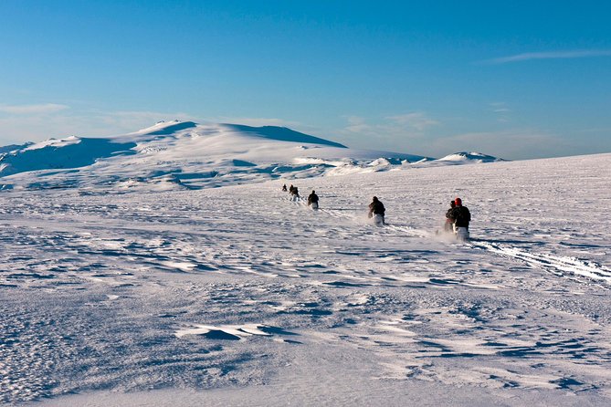 South Coast and Glacier Snowmobiling Day Trip from Reykjavik - Guides, Safety, and the Human Side of the Trip