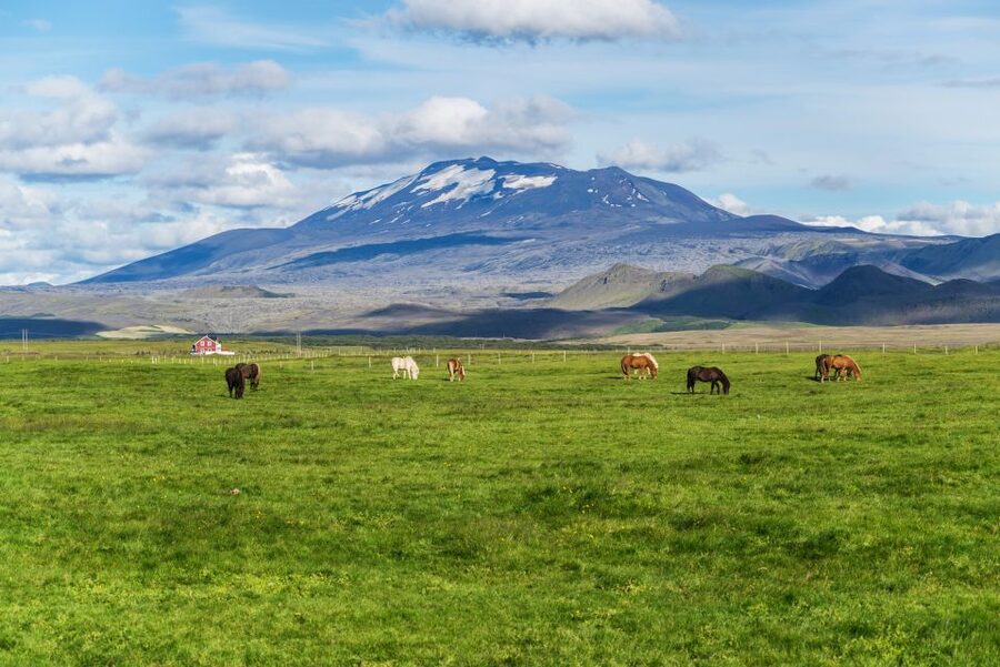 South Coast Classic: Full-Day Tour from Reykjavik - Key points to know before you book