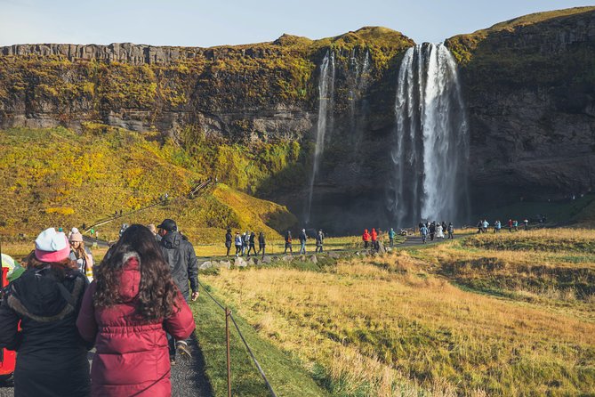 South Coast Day Tour Black Sand Beach & Waterfalls from Reykjavik - Timing, comfort, and the reality of a 10-hour day
