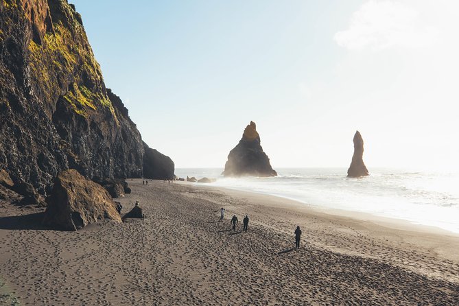 South Coast Day Tour Black Sand Beach & Waterfalls from Reykjavik - Who should book this tour?