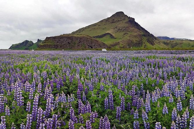 South Coast. Private Day Tour from Reykjavik - From Reykjavik to Seljalandsfoss