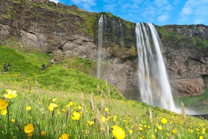 South Coast Sagas: Small Group Tour with Pick-up from Reykjavik - Reynisfjara is the visual highlight, with serious wave danger
