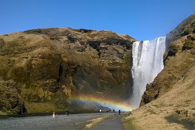 South Coast Small-Group Tour from Reykjavík - What $161.20 buys you