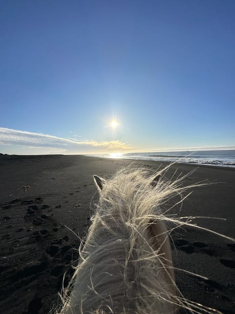 southern Iceland: Black beach riding tour - A two-hour outing with enough help