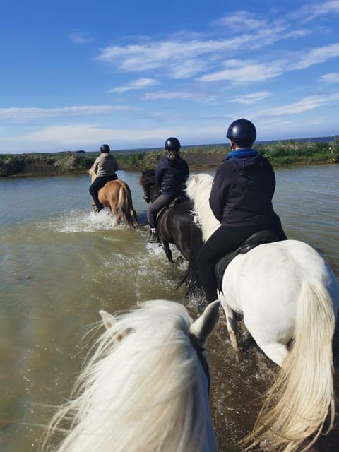 southern Iceland: Black beach riding tour - Getting to Grímsstaðir without a transfer