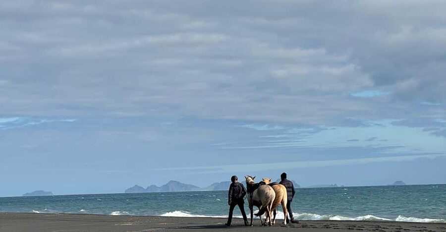 southern Iceland: Black beach riding tour - Who should book this ride?
