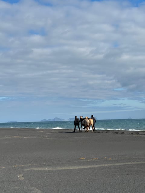 southern Iceland: Black beach riding tour - Booking flexibility and practical limits
