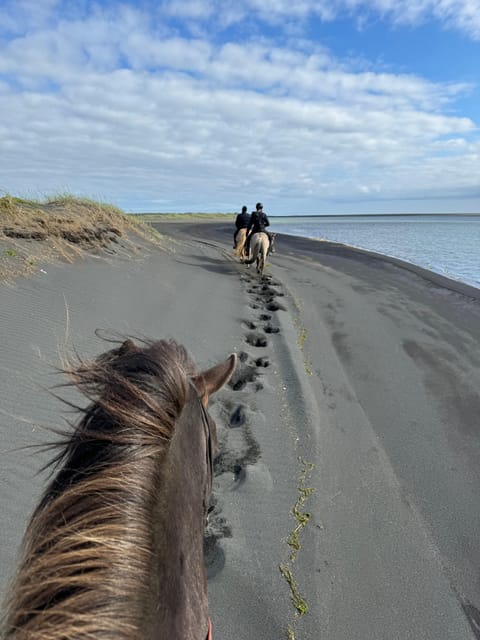southern Iceland: Black beach riding tour - Black sand, ocean air, and big views