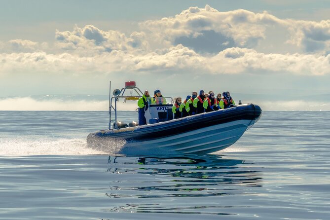 Speedboat Whale Watching Small-Group Tour in Reykjavik - Why the small RIB changes the whale-watching experience