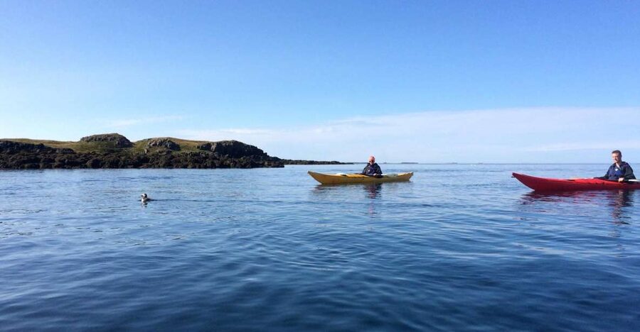 Stykkishólmur: 2-Hour Sea Kayak Tour - Key points for choosing this paddle