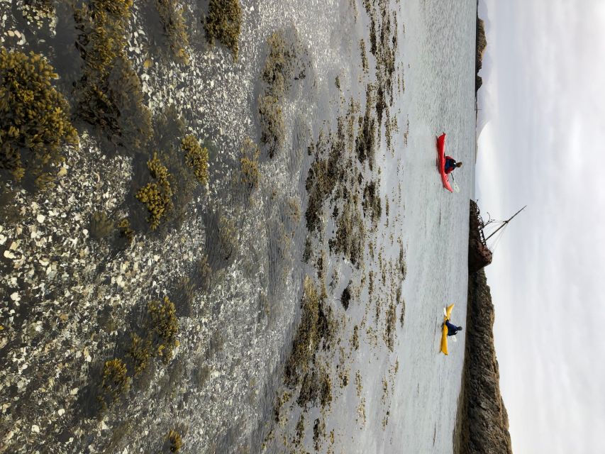 Stykkishólmur: 2-Hour Sea Kayak Tour - Islands, glaciers, and volcanoes from sea level