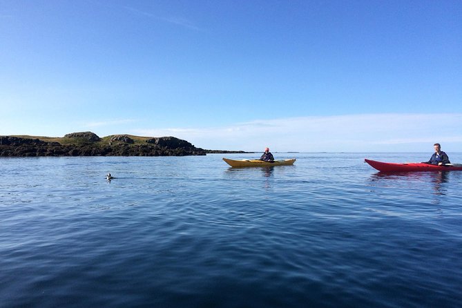 Stykkisholmur Sea kayak Day tour - Key points to know before you paddle