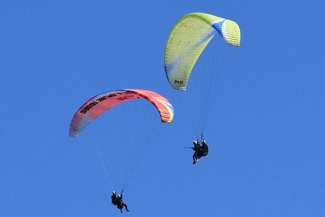 Tandem Paragliding Flights from Vik - Weather is the real booking question