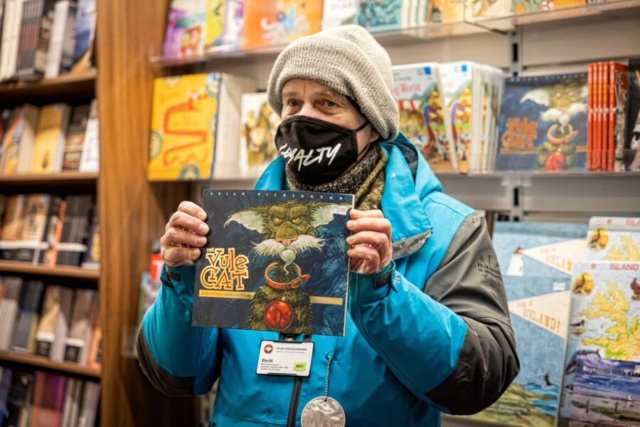 The Private Reykjavik CatWalk - A cat-themed way to see central Reykjavik