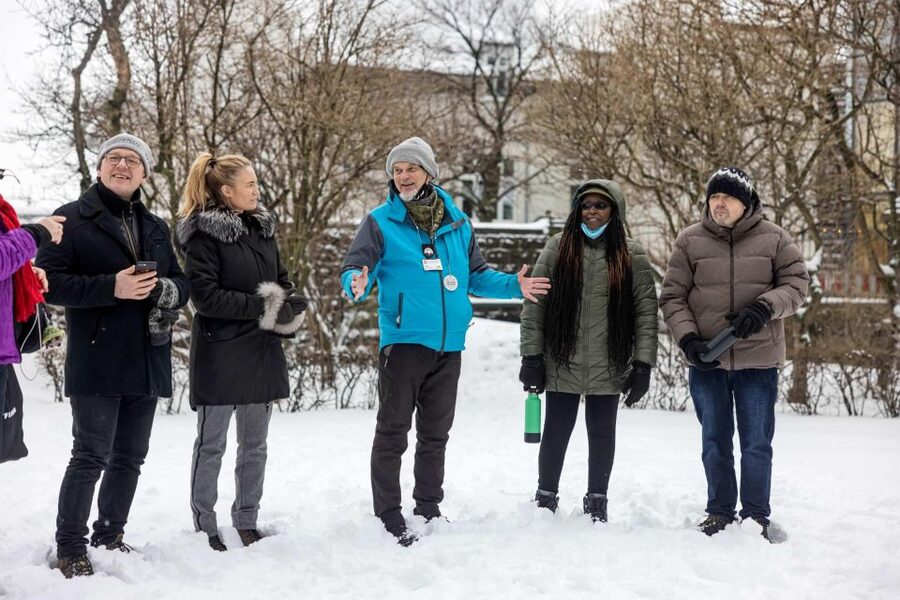The Private Reykjavik CatWalk - Austurstræti and the first cat stories