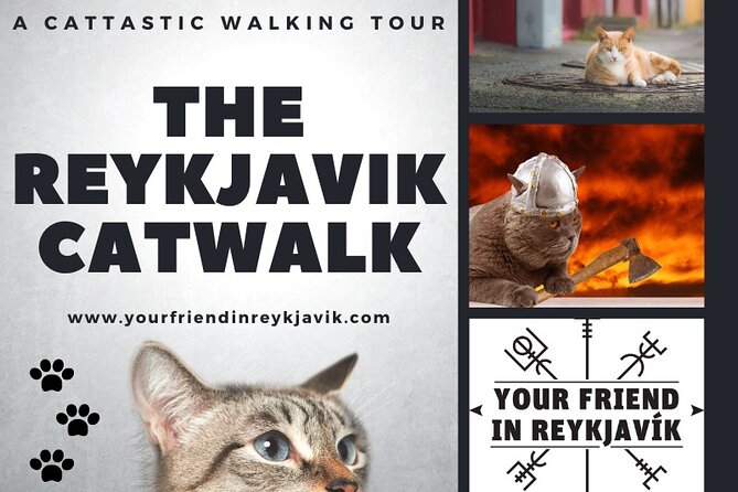 The Reykjavik Cat Walking Tour - The Einar Jónsson sculpture garden finish