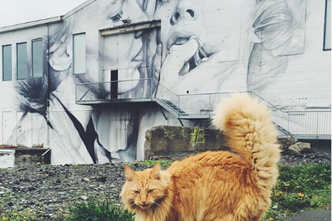 The Reykjavik Cat Walking Tour - The price and what you receive