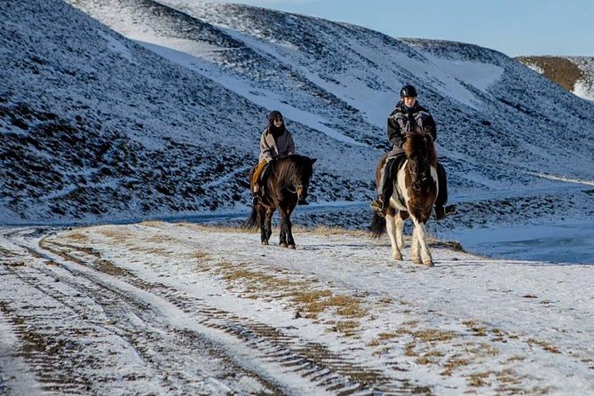 The Viking Horse Riding Experience in North Iceland - Meeting the Horses at Hestasport